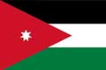 Flag-10